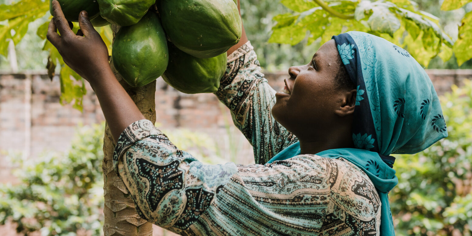Women-Led Organic Kitchen Garden Programs