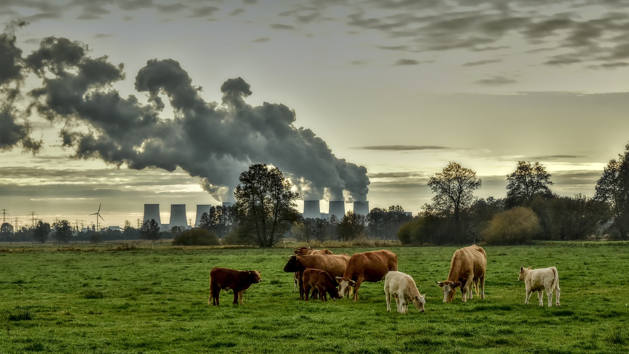 smoke stacks polluting