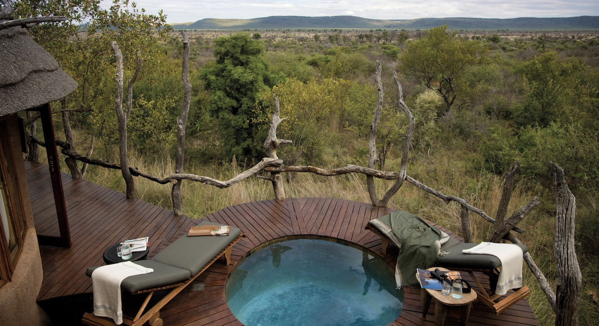 The Best Places to Go on Safari in South Africa
