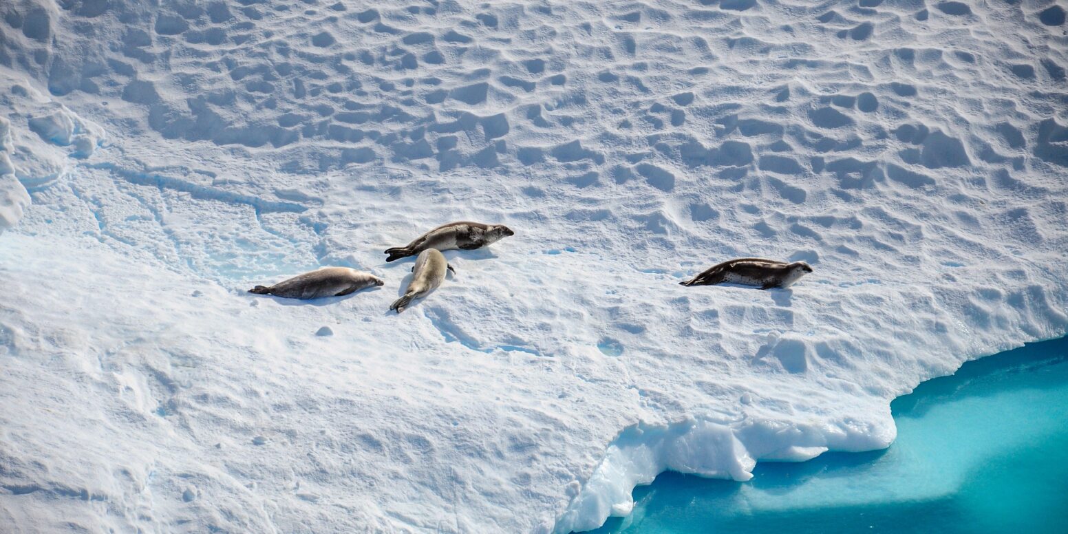 How to Experience Eco-Conscious Antarctica Travel
